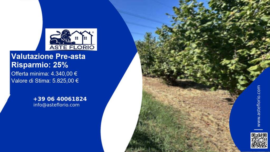 terreno agricolo in vendita a Piozzo