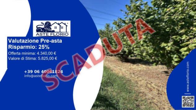 terreno agricolo in vendita a Piozzo