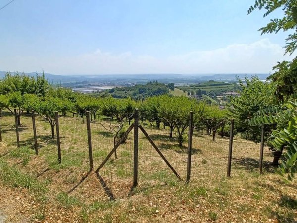 terreno agricolo in vendita a Pocapaglia in zona Macellai