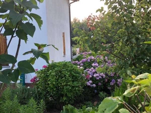 casa indipendente in vendita a Priero