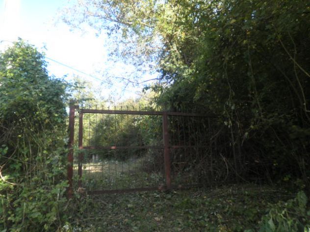 terreno agricolo in vendita a Prunetto