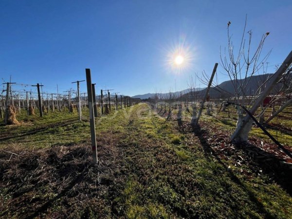 terreno agricolo in vendita a Revello
