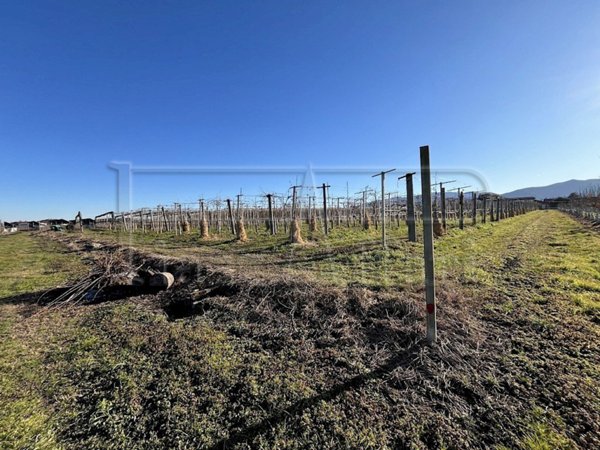 terreno agricolo in vendita a Revello