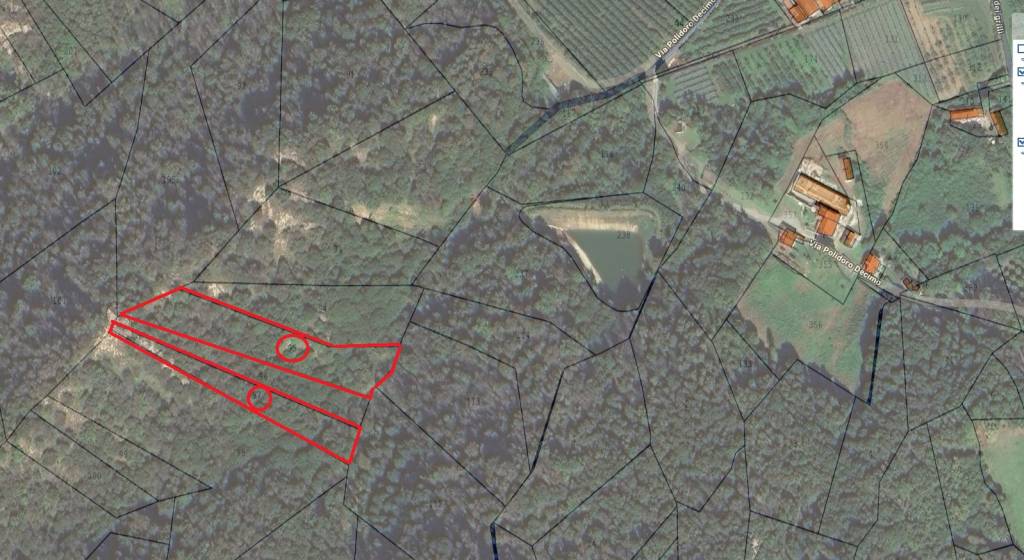 terreno agricolo in vendita a Revello