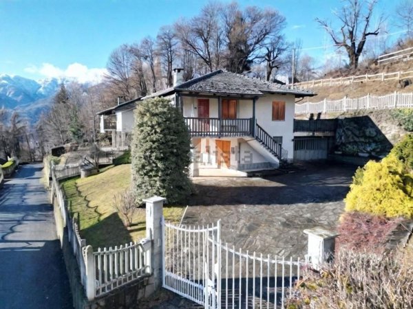 pentavano in vendita a Rifreddo