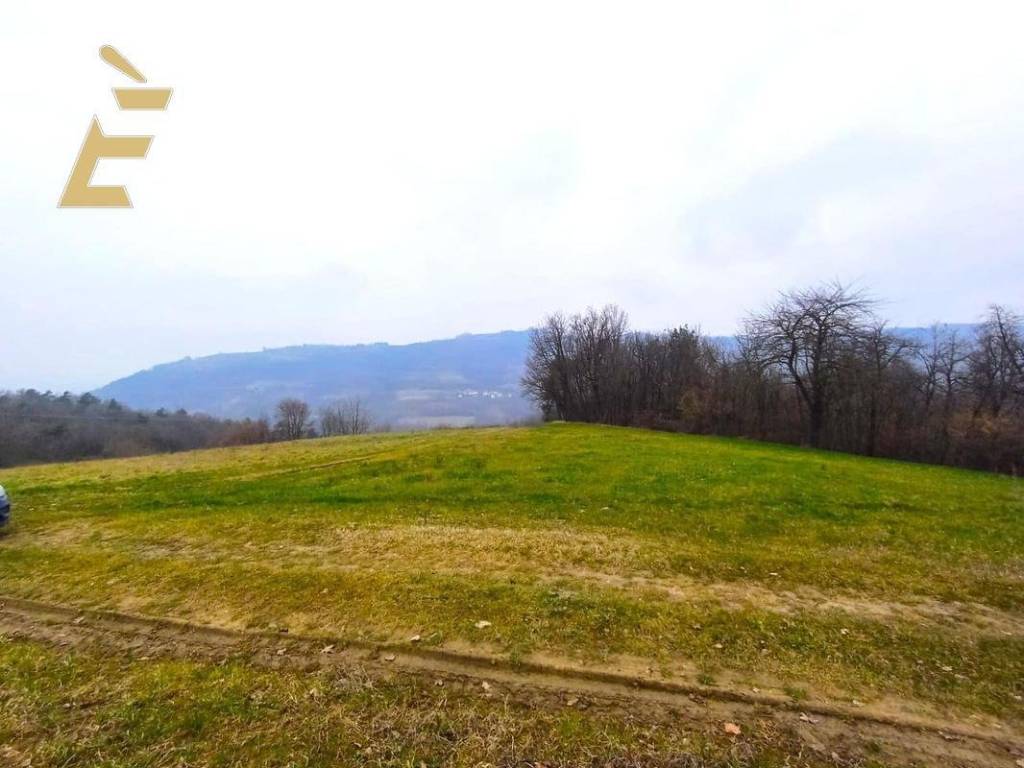 terreno agricolo in vendita a Roascio