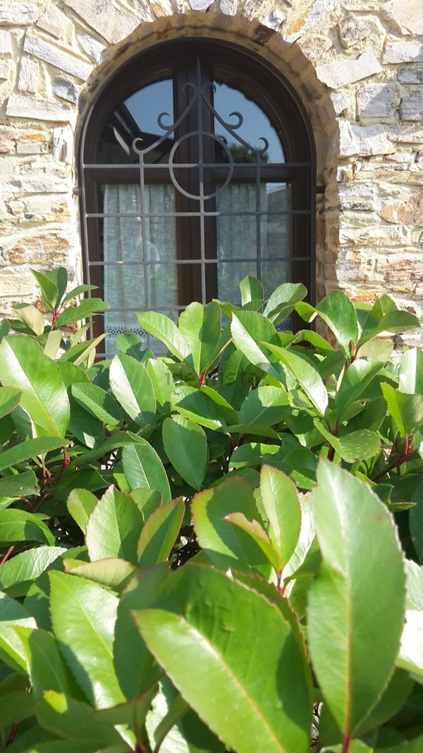 appartamento in vendita a Roburent in zona San Giacomo