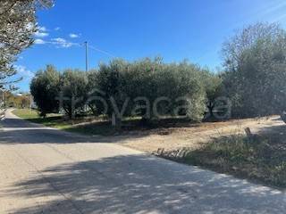 casale in vendita ad Alba Adriatica