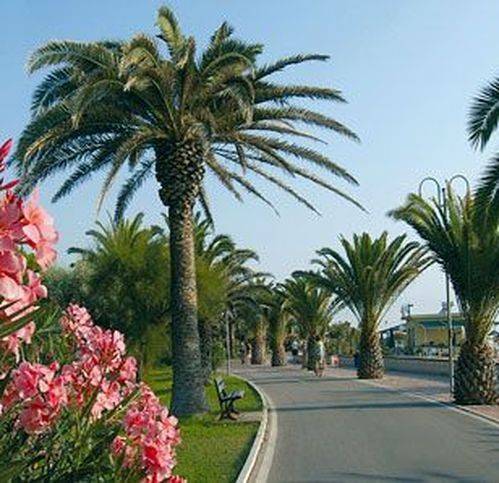 casa indipendente in vendita ad Alba Adriatica