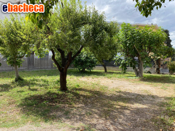 terreno edificabile in vendita ad Alba Adriatica