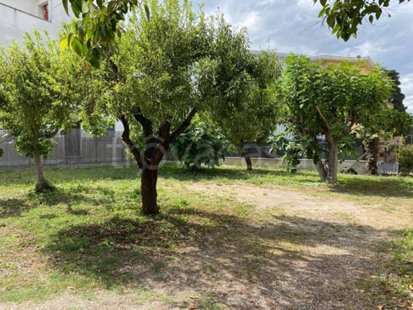 terreno edificabile in vendita ad Alba Adriatica