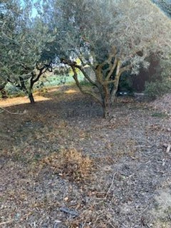 casale in vendita ad Alba Adriatica