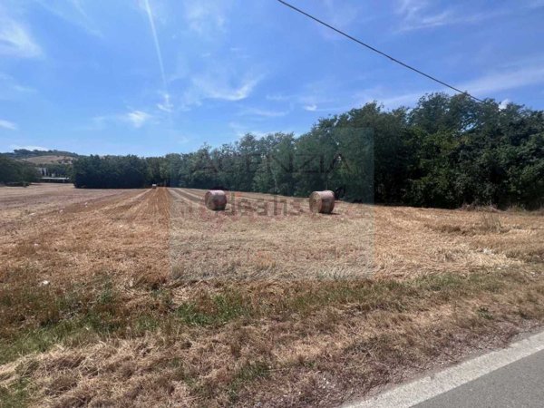 terreno agricolo in vendita ad Alba Adriatica