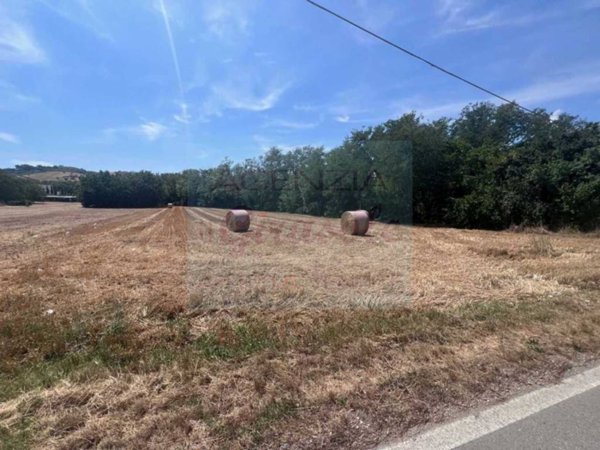 terreno agricolo in vendita ad Alba Adriatica