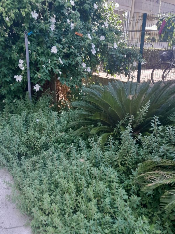 casa indipendente in vendita ad Alba Adriatica