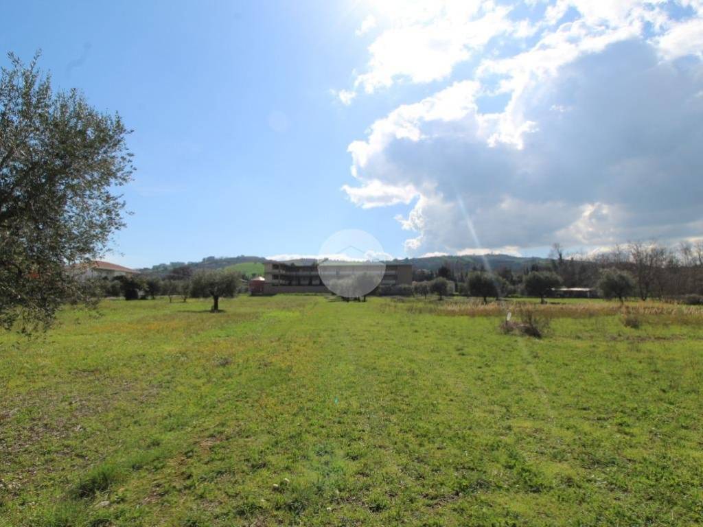terreno agricolo in vendita ad Alba Adriatica