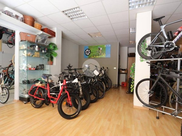 negozio in vendita ad Alba Adriatica