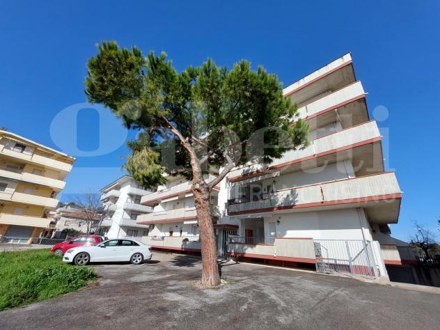 appartamento in vendita ad Alba Adriatica