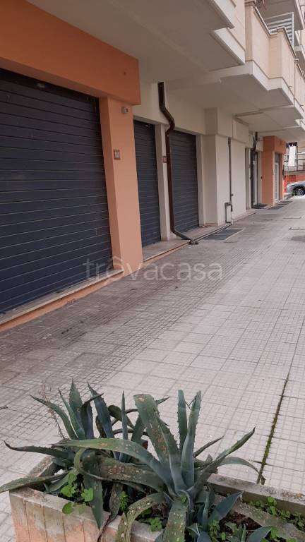 appartamento in vendita ad Alba Adriatica