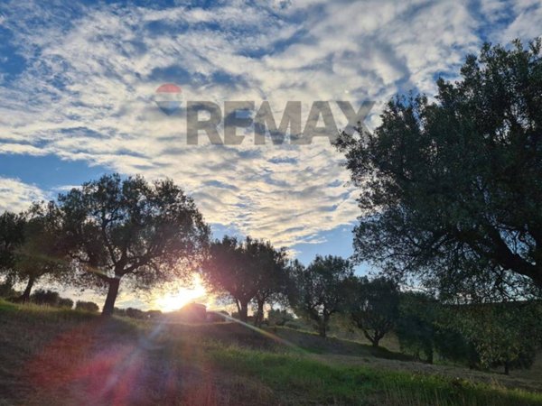 terreno agricolo in vendita ad Alba Adriatica