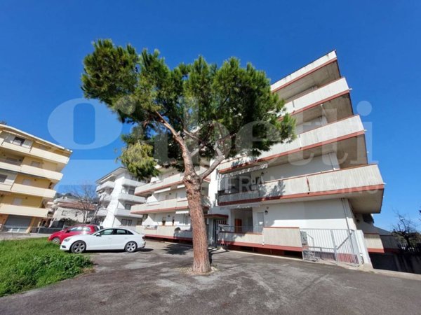 appartamento in vendita ad Alba Adriatica