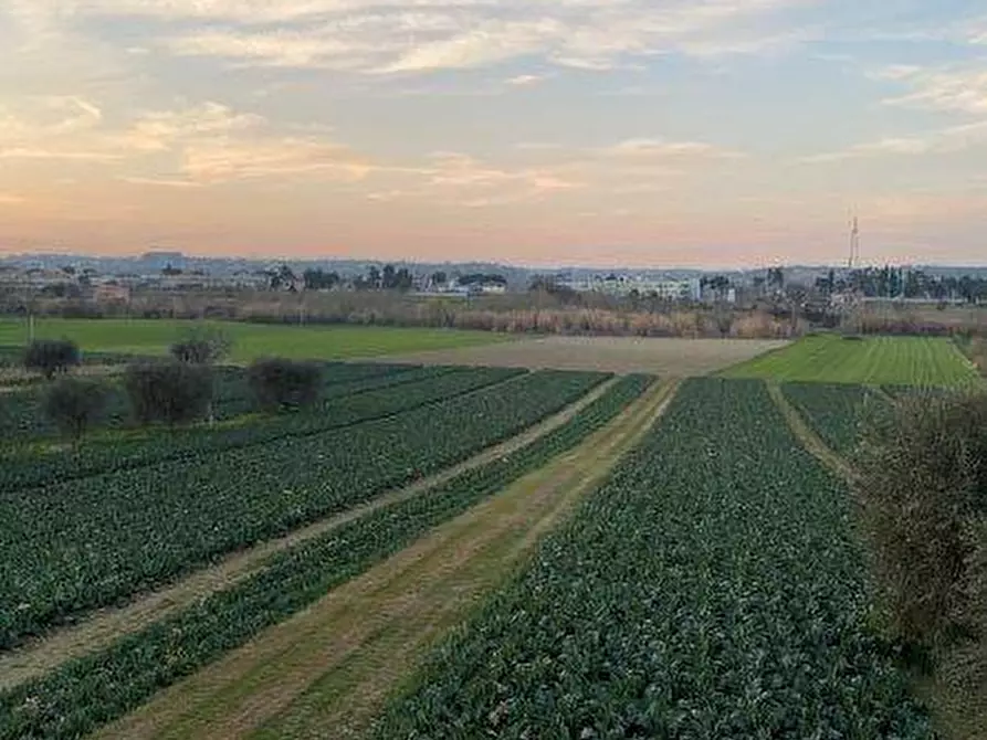 terreno agricolo in vendita ad Alba Adriatica