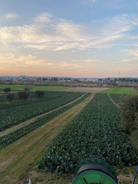 terreno agricolo in vendita ad Alba Adriatica