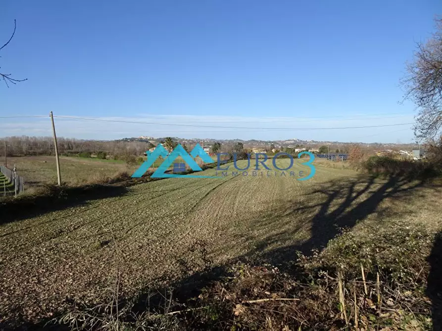 terreno agricolo in vendita ad Ancarano