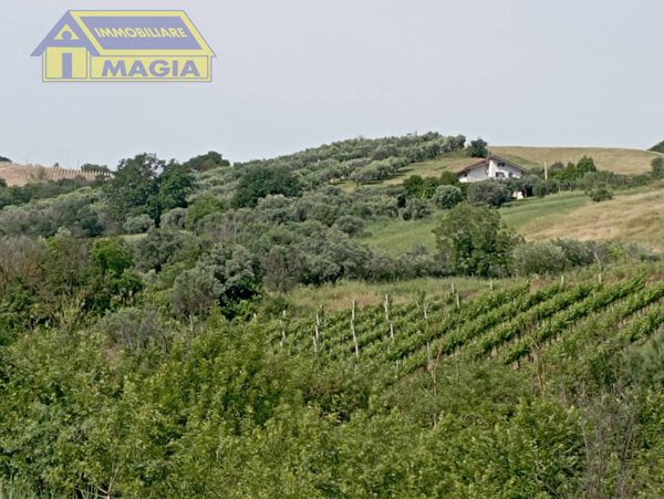 terreno agricolo in vendita ad Ancarano