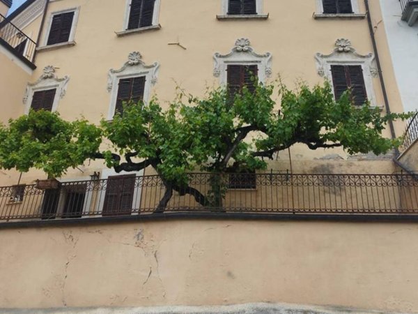 casa indipendente in vendita ad Ancarano in zona Madonna della Carità