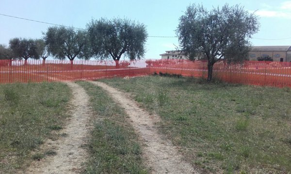 terreno edificabile in vendita ad Ancarano