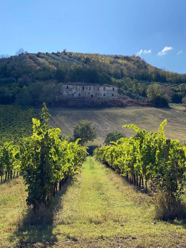 terreno edificabile in vendita ad Ancarano