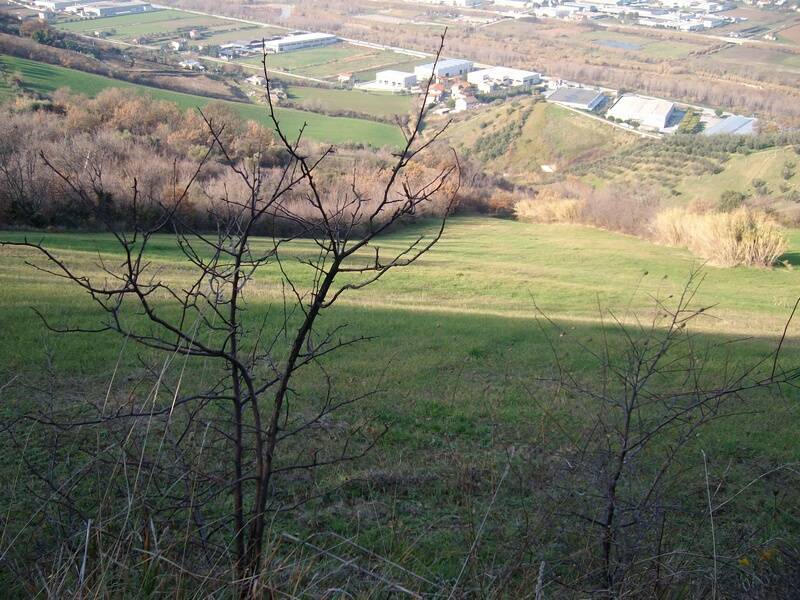 terreno agricolo in vendita ad Ancarano