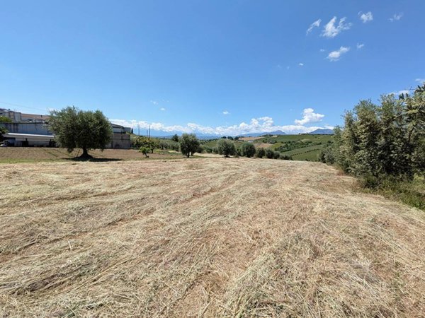 terreno agricolo in vendita ad Ancarano