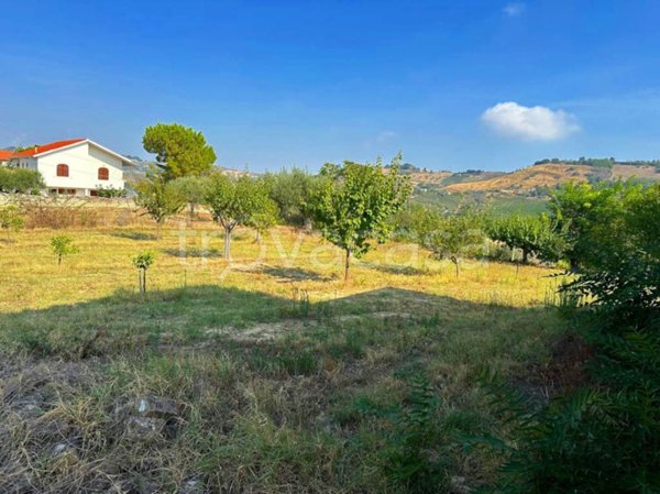 rudere in vendita ad Atri in zona Treciminiere