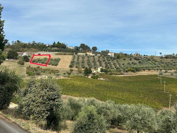 terreno agricolo in vendita ad Atri