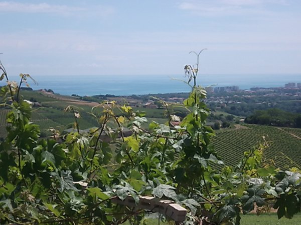 casa indipendente in vendita ad Atri