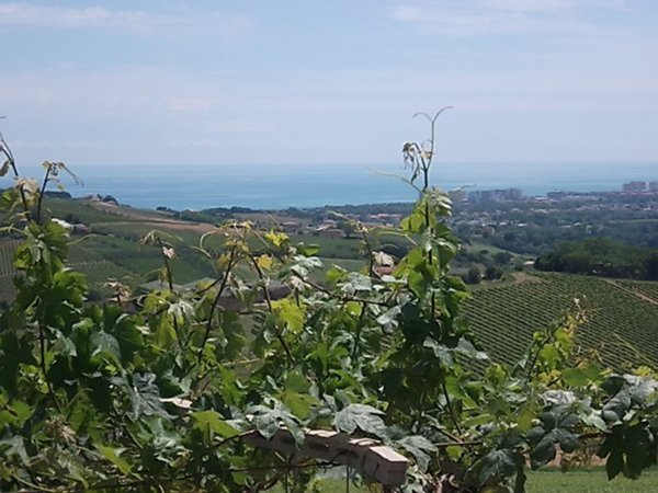 casa indipendente in vendita ad Atri