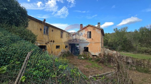 immagine annuncio 0 di 12