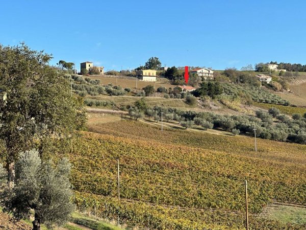 esavano in vendita ad Atri