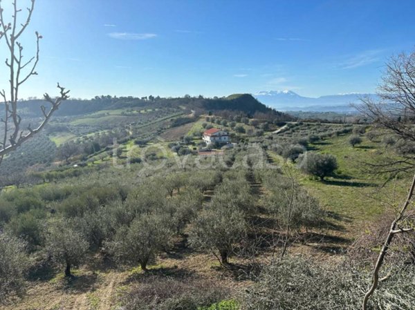 azienda agricola in vendita ad Atri