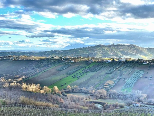 casa indipendente in vendita ad Atri in zona Treciminiere