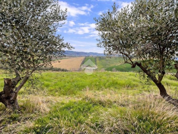 terreno agricolo in vendita ad Atri in zona San Giacomo