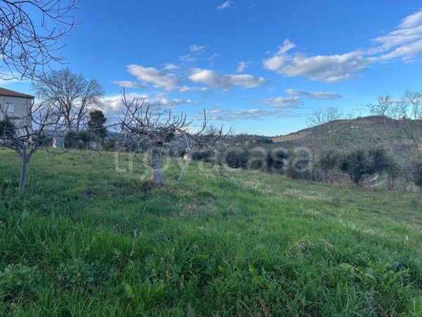 casa indipendente in vendita ad Atri in zona Treciminiere