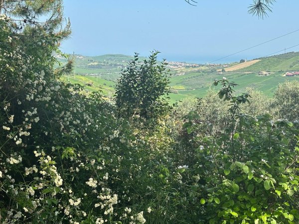 casale in vendita ad Atri in zona Santa Margherita