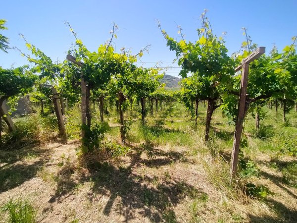 terreno in vendita ad Atri in zona Treciminiere