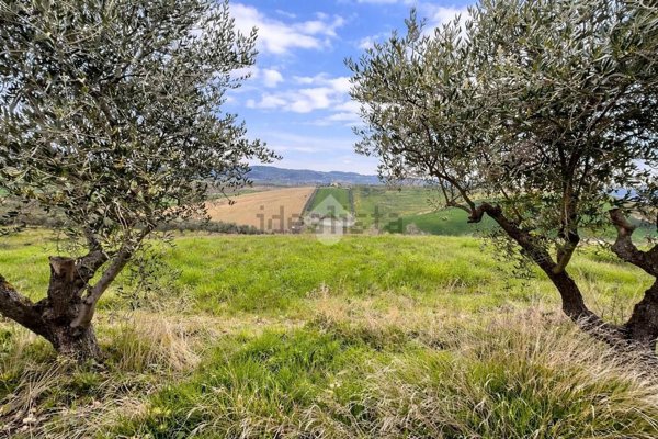 terreno in vendita ad Atri in zona San Giacomo