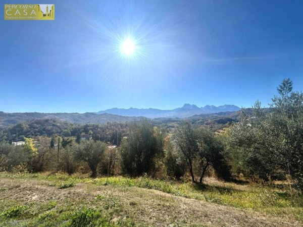 terreno edificabile in vendita a Basciano
