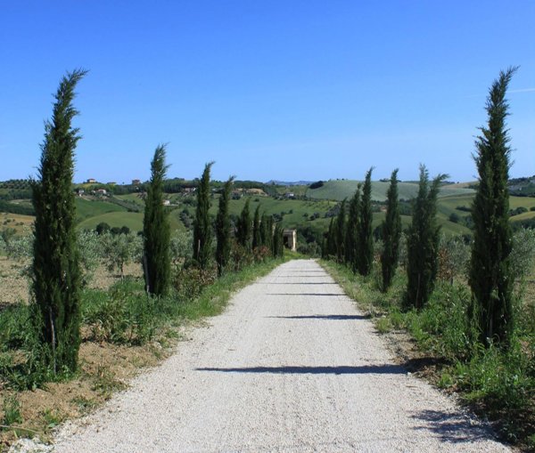 appartamento in vendita a Bellante