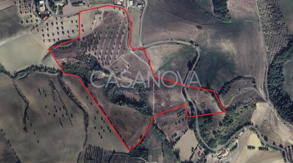 casa indipendente in vendita a Bellante